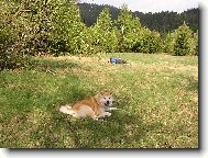 Pán i já jsme prostě po tůře unavení, no!