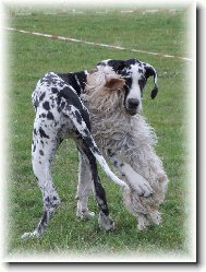 Láska na první pohled