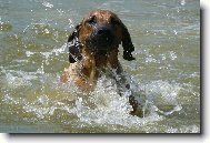 Tak už se nebojím plavat :-))