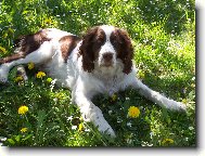 Largo z Hadího vrchu