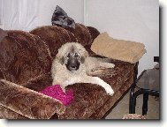 Aranka z Prácheňského kraje