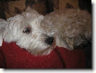 Ježiš co to jee!!!??