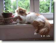 Náš flegmatik Hugo