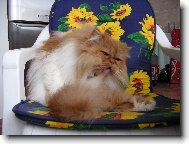 Hugo je velmi čistotný