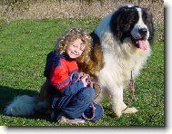 Železnyj Blesk - import Rusko - 2 roky