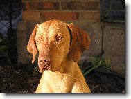 Ibar od Mochovské výmoly