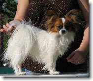 Eset Porubdký květ