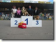 Německý špic malý - Aissi Sandiré