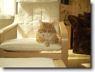 Odpolední odpočinek