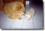 Míša jako náhradní otec