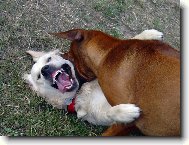 Hrátky (Bronwyn de Bismilláhi)