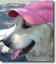 Bronwynka s kšiltovkou