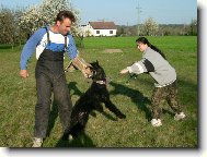 Cassi z Polabí Boner