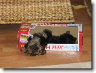 postýlka pro Rickyho