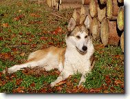 Akrym z Malinovského údolí