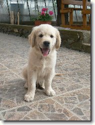 Jonášek na zahradě