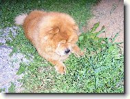 já si počkám,až vylezeš