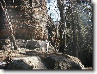 Jessynka na výletě