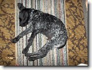 Dobrou noc,strýčku Fido.Dobrou noc,děti :o)