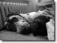 Leidynka s kamarádkou :0)