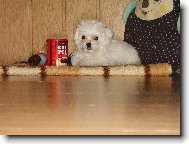 dá si se mnou někdo kávu?