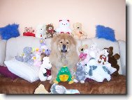 pojďte si se mnou hrát