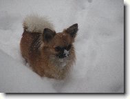 Alva z Třebaňského údolí