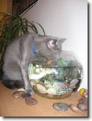 Max dodržuje pitný režim