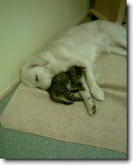 tak se přitul, já tě zahřeju