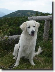 Ayrin Orlický talisman