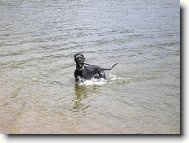 jsem frajer,jako táta..