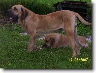 pohodička po snídani...