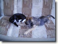 Argo s naší mínou