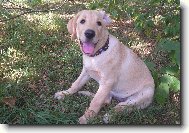 schovávám se před sluníčkem