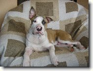 BRUCE  už rostu   7.měsícu