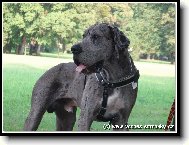 Jack z Josefovskych Búd