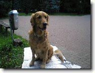 Tak todle je můj real hafff!