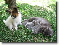 Já si chci taky cucnout!