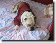 Náš největší mazel