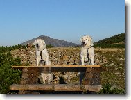 Bára a Greis v Krkonoších