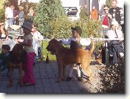 Malá vystavovatelka