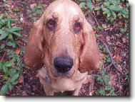 Takhle smutně koukám