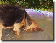 Já se umím potápět