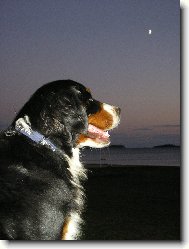 Jadranská noc přichází