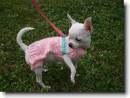 Jassinka ve svetříčku