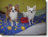 Terinka a Kryštůfek