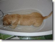 Já můžu i do vany