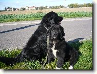 naši dva NF kluci, Hagi a Indy