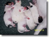 Spinkáme a jsme spokojení