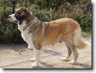 Bára - více na www.uandyho.blog.cz